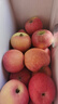 京鲜生 新疆阿克苏苹果  净重5斤 果径80-85mm 新鲜水果 实拍图