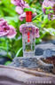 芦台春三十陈酿 浓香型白酒 52度 500ml*4瓶 整箱装(内含礼品袋) 实拍图