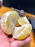 吉果叔 正宗广西茂谷柑 应当季新鲜水果薄皮脏脏柑橘石灰柑橘子整箱 净重4.5-5斤 【中大果】果径65-70mm 实拍图