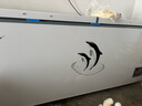 荣事达（Royalstar）冰柜商用大容量全冷冻卧式冰柜家用冷藏冷冻两用冷柜双温商用大冰柜冷冻柜展示柜 【高性价比】788单温铜管 【一级能效 数显温控】 实拍图