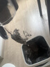戴森（DYSON）【国家补贴15%】V12 Detect Slim Fluffy轻量高端吸尘器 光学探测微尘 140AW强劲吸力 除螨 蓝色 实拍图