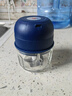 绞肉机小型打蒜器家用绞蒜切蒜器多功能辅食料理机电动蒜泥神器蒜蓉机自动切菜机压蒜器 玻璃杯升级款 0.26L 3页刀 实拍图