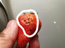 田拾记大凉山红颜奶油草莓【JD-多地次日达】九九草莓新鲜水果送礼礼盒 2盒礼盒装丨尝鲜试吃不划算 金钻级9枚装丨单果25-30g+ 超甜浓郁 实拍图