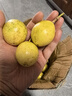 爱鲜摘农场 广西钦蜜9号黄金百香果【顺丰圆通-闪送】热情果水果礼盒端午节 A+级【特级果】单果60g-70g 5斤【80%选择-超划算】净4斤 实拍图