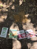 网易严选全价猫粮 宠物主粮幼猫成猫全价粮猫咪食品 深海鱼虾口味50g*2 实拍图