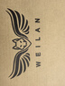 WEILAN BabyAlpha A2 Plus 256G 雅致灰 蔚蓝阿尔法机器狗 全新一代人工智能机器狗 AI 机器狗  实拍图