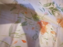 博洋家纺纯棉枕套印花枕芯套枕头套对枕套花逸一对装48*74cm 实拍图
