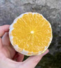 山姆伯伯 脐橙【闪送】新鲜橙子整箱果冻甜橙应季水果礼盒装 【力荐-果大香甜】100-150g/个 【精美礼箱】5斤装丨送礼推荐丨净4.5 实拍图