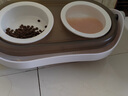 HELLOJOY陶瓷猫碗护颈防打翻宠物狗碗猫盆猫粮猫食盆猫咪饭碗斜口双碗  实拍图