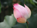 奥之心（OM SYSTEM）M.ZUIKO DIGITAL ED 40-150mm F4-5.6 R 远摄变焦镜头 微单镜头 黑色 等效80-300mm 实拍图