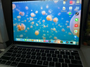 苹果（Apple） MacBook Pro/Air 二手苹果笔记本电脑 商务 办公 游戏 设计 剪辑 99新18款9Q2灰9U2银16G/256GBar 实拍图