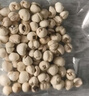 福东海  真四川川贝母20g 【拒绝拿平贝母充数】可磨川贝母粉咳冬季煲汤 实拍图