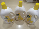 滴露（Dettol）衣物消毒液 柠檬 3L*3瓶 杀菌除螨内衣儿童衣物除菌可配洗衣液 实拍图