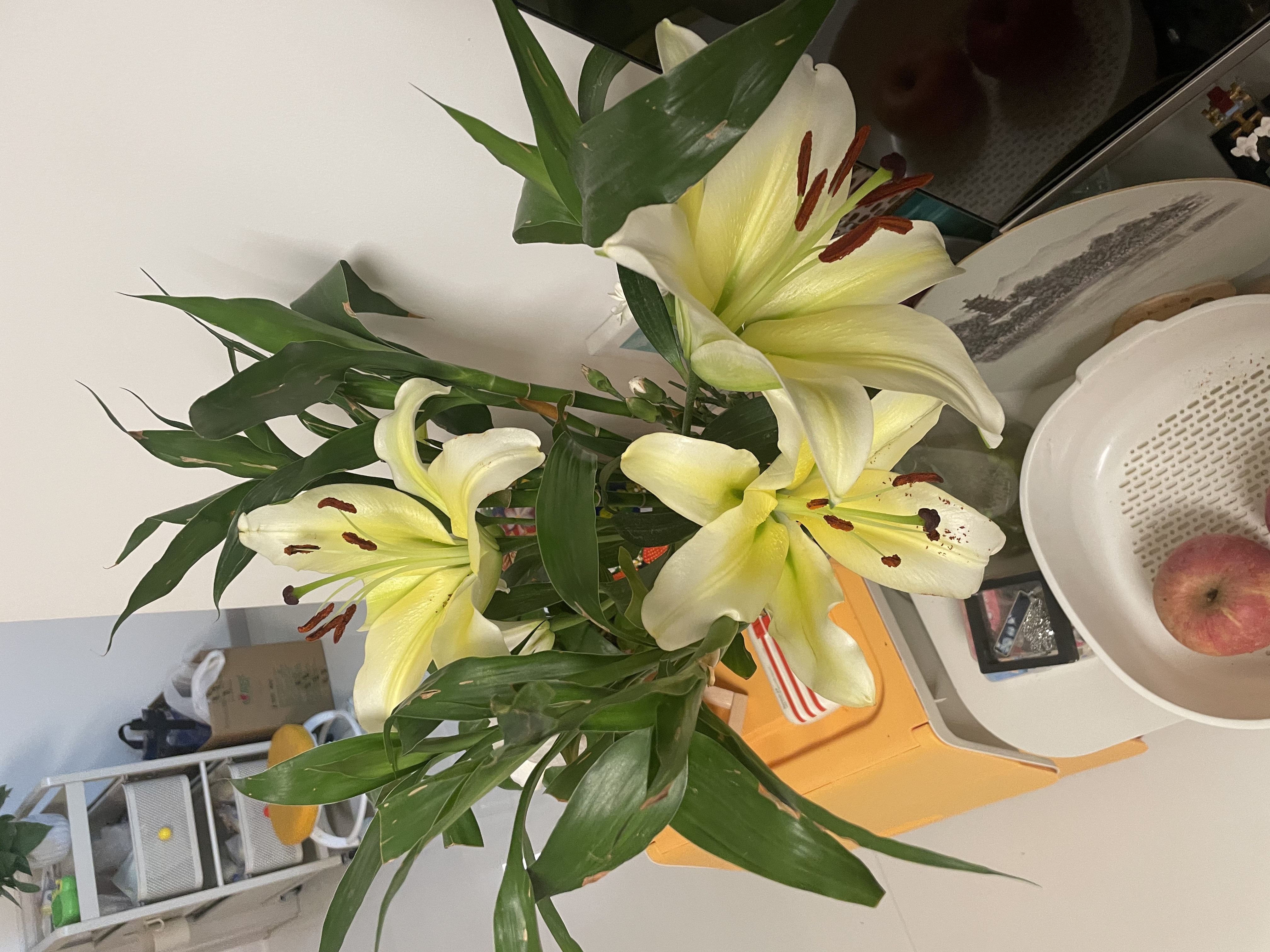 蕉下（beneunder）防晒衣女防紫外线全防护可调节收腰显瘦百搭AL823漫野绿L 实拍图