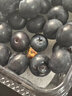 京鲜生 国产蓝莓 4盒18mm+装 125g/盒 生鲜水果 源头直发 包邮 实拍图