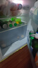 李子园【成毅代言】甜牛奶乳饮料荔枝味225ml*20瓶儿童奶早餐奶黑五 实拍图