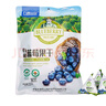 九鑫山珍有机蓝莓干小兴安岭蓝莓果干大颗粒无添加剂500g零食东北特产 实拍图