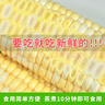中鲜生云南水果玉米 新鲜甜玉米 现摘玉米棒 生鲜蔬菜可生吃火锅食材 5斤 【净重】约5-8根 实拍图