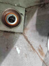 京小米森活德国品质地漏防臭器卫生间通用内芯封闭盖防虫下水道防返臭神器 专利款【通用安装】大盖防臭过滤地漏芯 实拍图