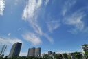效期至25年8月31日【原研进口】瑞派乐 奈玛特韦片/利托那韦片组合包装0.15g*20片+0.1g*10片/盒  实拍图