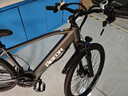飞鸽26寸锂电池电动车助力电动自行车禧玛诺变速碟刹超长续航电瓶车新国标通勤代步山地车 F58深空灰-辐条轮/速度传感 6Ah-约电动续航24KM 实拍图