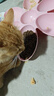 伯纳天纯猫粮专供款 宠物猫粮专供款三文鱼&蔓越莓幼猫粮6kg/12斤 实拍图