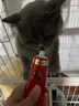 USPET猫咪专用化毛膏幼猫成猫化毛排毛调理肠胃免疫力补充营养1支*120g 实拍图
