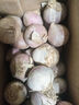 志褚独头蒜大蒜头 2024云南大理紫皮独蒜 精品新鲜现挖湿蒜 1斤装【珍珠小蒜2.2cm以下】 实拍图