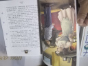 灵犬莱西 国际大奖儿童文学读物小学生三四五六年级课外阅读书籍青少年儿童必读名著故事书 实拍图