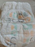 好奇（Huggies）心钻装小森林拉拉裤XXXL28片(17kg以上)加加加大号夏季超薄 实拍图