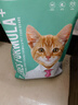 凯锐思幼猫猫粮1-4月奶糕全价幼猫粮离乳期与孕期天然粮2斤 实拍图
