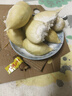 榴莲西施巧克力榛子千层蛋糕450g下午茶零食甜品生日蛋糕6英寸冷冻蛋糕 实拍图