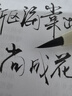 得力(deli) 新式毛笔 书法软笔钢笔式毛笔秀丽笔小楷初学者入门练字文房四宝开学礼物 （黑） 实拍图