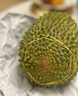 帝一榴 DKINGZ猫山王榴莲D197整果AAA级液氮冷冻正宗马来西亚树熟进口顺丰包邮 AAA级甄选3.6-3.9斤（保五房） 实拍图