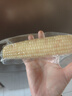 滇园（dianyuan） 云南西双版纳香糯小玉米750g 大号拇指玉米粗粮0添加 实拍图
