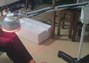 仙鹤航天神灯院线同款红外线理疗灯医用烤灯治疗理疗仪电磁波治疗器 实拍图