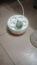 小熊（Bear）煮蛋器蒸蛋器单层家用自动断电迷你早餐神器鸡蛋羹蒸鸡蛋器蒸蛋机炖蛋器蒸蛋锅防干烧便携式电蒸锅 单层 实拍图