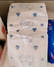 英其宝纸尿裤厂家授权婴幼儿纸尿裤幼儿拉拉裤儿童学步裤新生儿尿 英其宝纸尿裤M码 70片 数量1包 实拍图