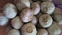 玉燕妃云南正宗新鲜紫皮独头大蒜独蒜干蒜 农家露天自种助农生鲜蔬菜 3.5-4cm精品独蒜干蒜2斤 实拍图