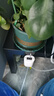 芷郁自动浇水器定时浇花神器浇灌喷雾喷头喷淋系统智能花园灌溉浇12盆 实拍图