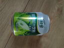 一枝笔莱阳梨汁245ml*20罐 果汁饮料整箱礼盒装批发一支笔山东莱阳送礼 实拍图