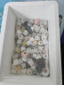 派乐特 鱼缸过滤材料水族火山石陶瓷环细菌球器材用品十二合一滤材1kg 实拍图