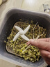 摩动豆芽机全自动家用多功能发黄绿豆芽神器水循坏洒水微电脑智能定时发豆芽机器MD-DY01 实拍图