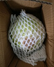 山东新鲜甘蓝包菜卷心菜圆白菜新鲜嫩绿莲花白现摘现发早餐减脂 新鲜包菜 1斤 人工挑拣 实拍图