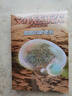 刘慈欣科幻漫画系列（第一辑）（套装共4册） 聆听宇宙深邃的思想，在时间中看见过去和未来 童书 实拍图