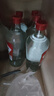 桂林三花酒38度桂林玻璃瓶装米香型白酒桂林旅游特产 38度 480mL 12瓶 实拍图