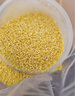 十月稻田 24年新米 山西黄小米 2.5kg 五谷杂粮 粗粮 早餐小米粥 真空5斤 实拍图