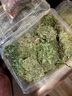 苔藓鲜活青苔白发藓微景观造景水陆缸假山盆栽迷你植物diy材料 小白发藓一盒 实拍图