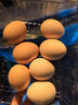芮瑞 农家散养新鲜现捡鸡蛋笨鸡蛋谷物柴鸡蛋初生蛋 单枚40±5g 15枚 实拍图