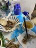 森牧农3年散养农家老母鸡生鲜柴鸡肉农村现杀走地鸡黄油溜达土鸡煲汤鸡 5年以上（2.9~3.6斤） 实拍图